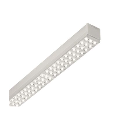 3F LINUX L 40 BREEDSTRALEND L=1778-3F FILIPPI main product photo