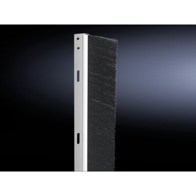 DK Borstelstrip vert. v TS/TE 2000H VE=4-RITTAL main product photo