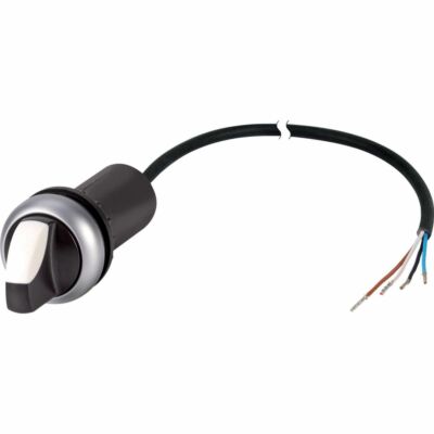 KEUZESCHAKELAAR C22-WRK-K11-P65-EATON main product photo