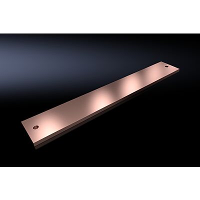 SV PE/PEN Railkoper E-Cu80x10 L=500 VE=2-RITTAL main product photo