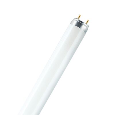 TL LAMP 38W/840 PLUS ECO T8 G13-LEDVANCE main product photo