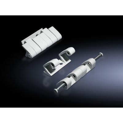 TS Scharnieren 180° dyn bel RAL7035 VE=4-RITTAL main product photo