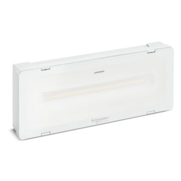 ANTI PANIEKVERLICHTING IP65 1-3 UUR-SCHNEIDER