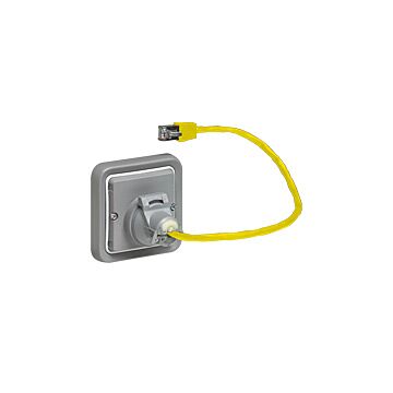 Plexo IP55 Mosaic adapter RJ45-LEGRAND