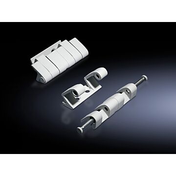 TS Scharnieren 180° dyn bel RAL7035 VE=4-RITTAL