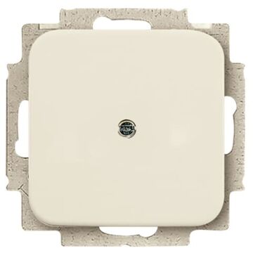 BLINDPLAAT M/DRAAGR.2538-212 SERIE SI-BUSCH JAEG