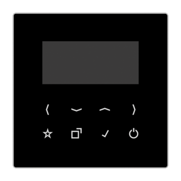 Display LS990 zwart voor DAB+ met BT-JUNG