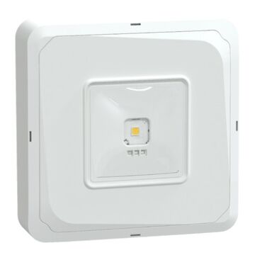 EXIWAY SMARTBEAM CONTROL OPBOUW VLUCHTROUTE IP65-SCHNEIDER