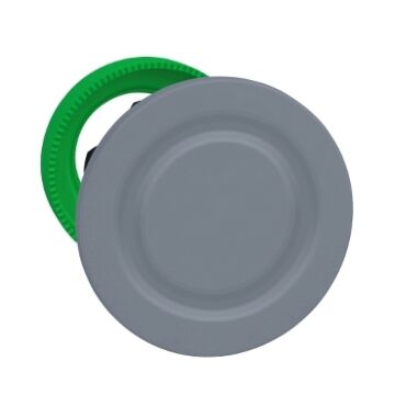 FLUSH BLANKING PLUG-SCHNEIDER