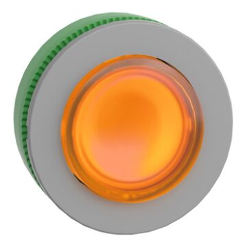 FLUSH MOUNTEOR PROJECTING ILL. PB HEAFOR LEPUSH-SCHNEIDER