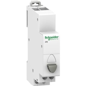 IBP - DRUKNOP - ENKELVOUDIG - 1 NC - GRIJS-SCHNEIDER