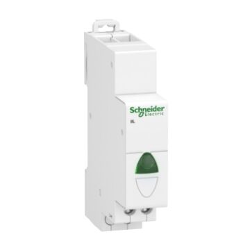 IIL - SIGNAALLAMP - ENKEL - 12-48V AC - GROEN-SCHNEIDER