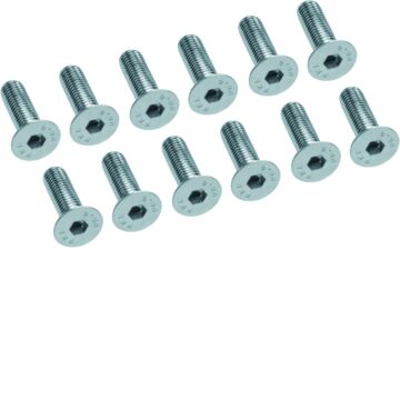 Inbusbout Verzonkenkop, M12X40 Mm (12 Stuks)-HAGER
