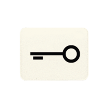 Inzetst.wit CD/LS/WG600/AP Sleutel-JUNG