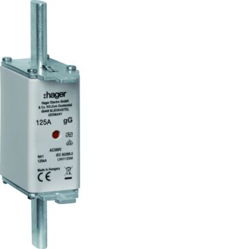 Mespatroon Nh1C 125 A 500 V Gg Combimelder-HAGER