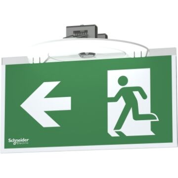 NOODVERLICHTINGSBORD ZICHT 2M MET 5 PICTOGRAMMEN-SCHNEIDER