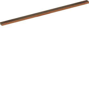 Railkoper 12 X 5 Mm B = 247 Mm, 1 Veld-HAGER