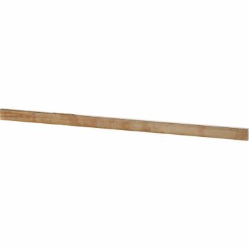 RAILKOPER CU30X10 ONBEHANDELD L=1.5M-EATON