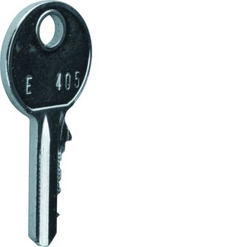 Reservesleutel Voor Fz452-HAGER