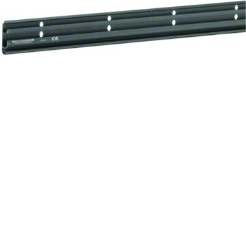 Sl Recy30%, Bodemprofiel 20X55 mm, Zwart (L=2)-HAGER