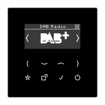 Smartradio DAB+ LS990 zwart-JUNG