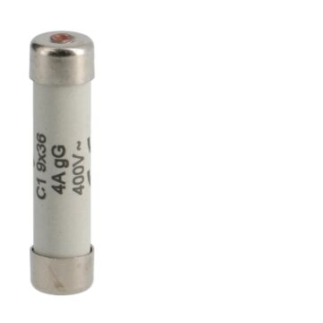 WEBER BUISZEKERING C1 9X36MM 4A-HAGER