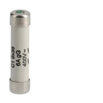 WEBER BUISZEKERING C1 9X36MM 6A-HAGER