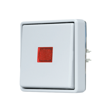 Wipcontroleschak.WG600 2-pol.z.onderk.-JUNG