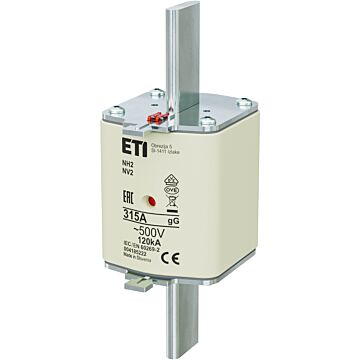 Zekering 500V~ 315A NH2 gG-ETI
